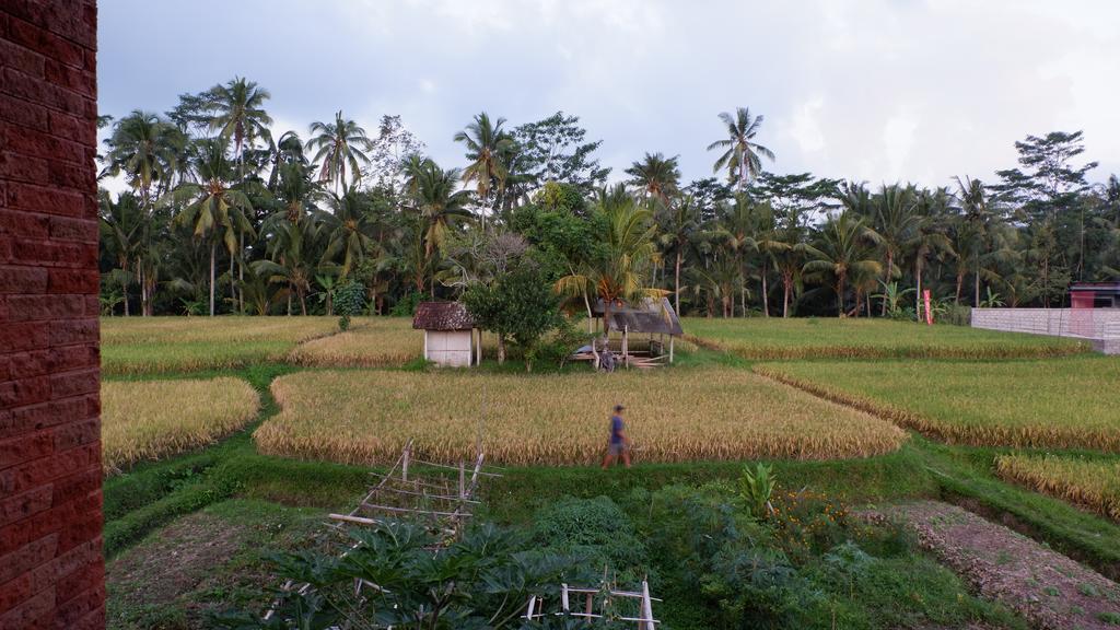 Wayan Garden Hotel Ubud  Exterior photo