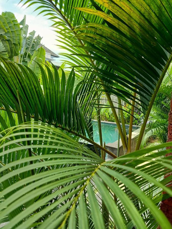 Wayan Garden Hotel Ubud  Exterior photo
